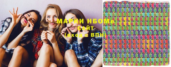 соль ск Тайга