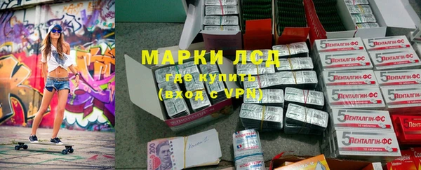 соль ск Тайга