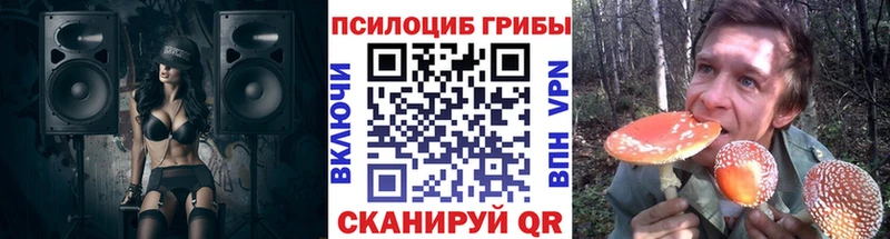 Купить  Крым  Псилоцибиновые грибы мицелий 