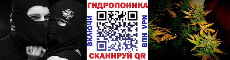 Канабис VHQ  Купить где  Крым 